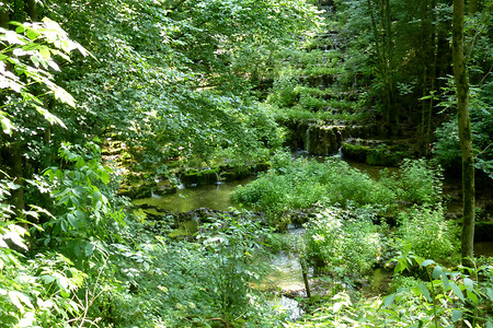 Sinterterrassen im Frühling &ndash; (14.07.2013, VGN &copy;&nbsp;VGN GmbH)