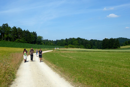 Richtung Gräfenberg &ndash; (14.07.2013, VGN &copy;&nbsp;VGN GmbH)