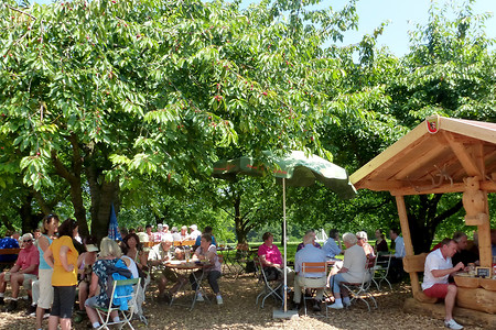 Wölfersdorfer Biergarten &ndash; (14.07.2013, VGN &copy;&nbsp;VGN GmbH)