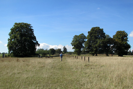 Waizenhofer Espan 2 &ndash; (03.12.2016, VGN &copy;&nbsp;VGN GmbH)