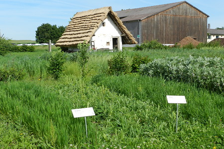 Keltenhaus mit Garten &ndash; (03.12.2016, VGN &copy;&nbsp;VGN GmbH)