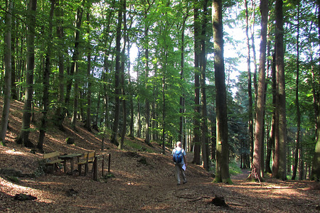 Abwärts nach Thalmaessing &ndash; (03.12.2016, VGN &copy;&nbsp;VGN GmbH)