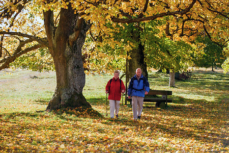 Herbst im Waizenhofer Espan &ndash; (03.12.2016, Landkreis Roth &copy;&nbsp;Landkreis Roth)