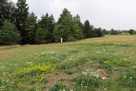 Waizenhofer Espan 3 &ndash; (03.12.2016, VGN &copy;&nbsp;VGN GmbH)