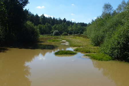 Martin Lehmeier Weiher &ndash; (29.08.2015, VGN &copy;&nbsp;VGN GmbH)