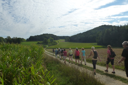 Hinter Neukirchen &ndash; (29.08.2015, VGN &copy;&nbsp;VGN GmbH)