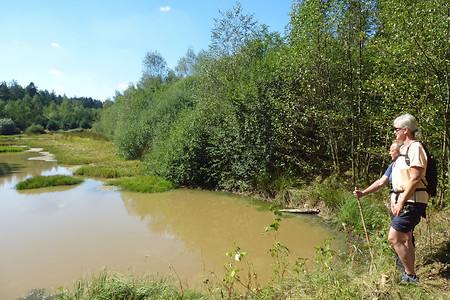 Weiherkette &ndash; (29.08.2015, VGN &copy;&nbsp;VGN GmbH)