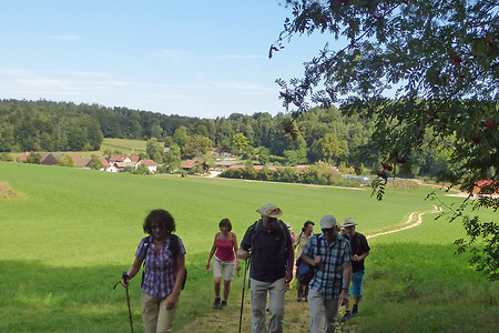 Kurzer Anstieg nach Fichtelbrunn &ndash; (29.08.2015, VGN &copy;&nbsp;VGN GmbH)