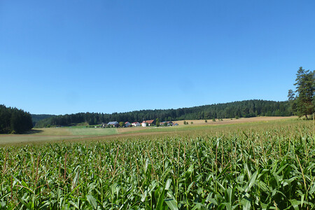 Blick auf Frankenhof &ndash; (29.08.2015, VGN &copy;&nbsp;VGN GmbH)