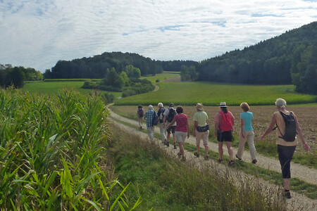Hinter Neukirchen &ndash; (29.08.2015, VGN &copy;&nbsp;VGN GmbH)