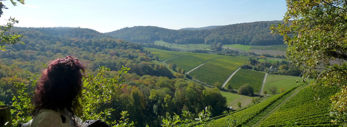 Aussicht &ndash;  (19.10.2013, VGN &copy;&nbsp;VGN GmbH)