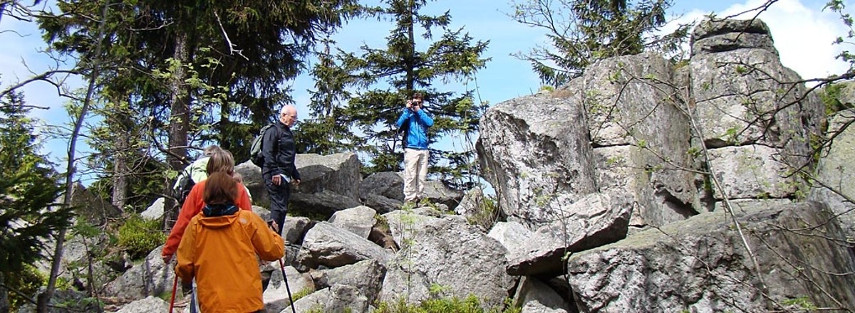 Traumhaftes Fichtelgebirge &ndash;  (VGN &copy;&nbsp;VGN GmbH)