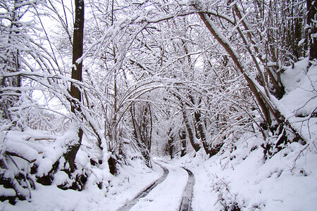 Winterlandschaft im Hohlweg &ndash; (VGN &copy;&nbsp;VGN GmbH)