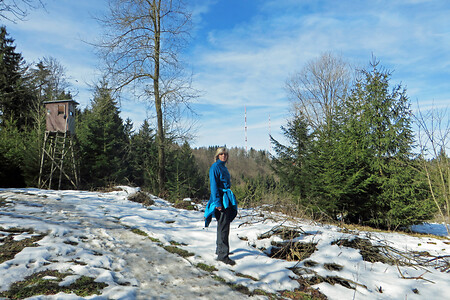 Tauwetter: Auf dem Weg zum Dillberg &ndash; (VGN &copy;&nbsp;VGN GmbH)