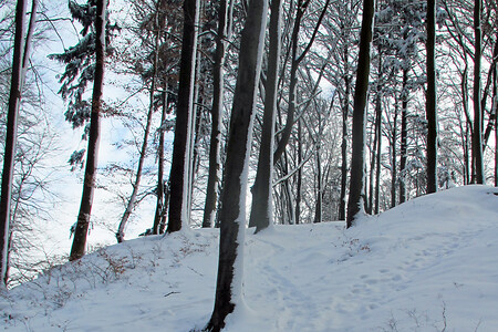 Schnee am Dillberg &ndash; (VGN &copy;&nbsp;VGN GmbH)