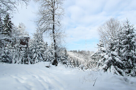 Neuschnee am Dillberg &ndash; (VGN &copy;&nbsp;VGN GmbH)