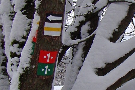 Wegzeichen am Dillberg &ndash; (VGN &copy;&nbsp;VGN GmbH)