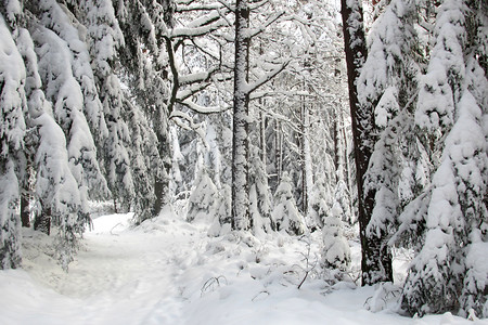 Unberührte Winterlandschaft &ndash; (VGN &copy;&nbsp;VGN GmbH)