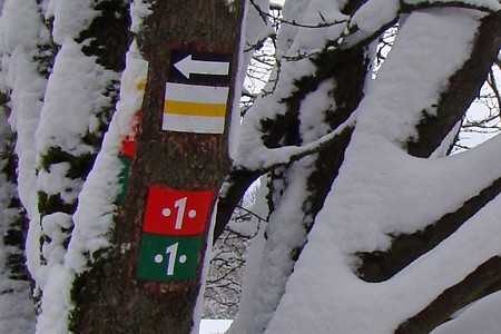 Wegzeichen am Dillberg &ndash; (VGN &copy;&nbsp;VGN GmbH)