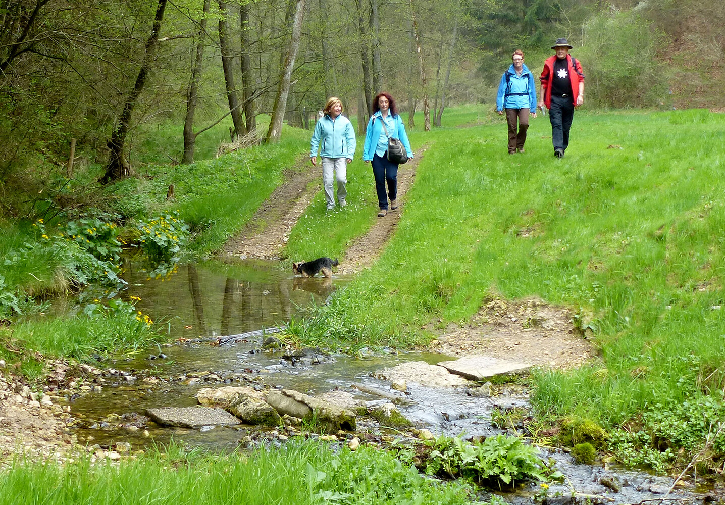 Talbach &ndash;  (01.05.2013, VGN &copy;&nbsp;VGN GmbH)