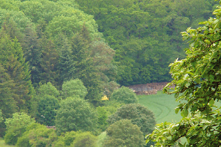 Waldweg hinter Holzhausen &ndash; (VGN &copy;&nbsp;VGN GmbH)