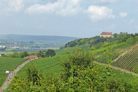Weinwandertag Ipsheim &ndash; (VGN &copy;&nbsp;VGN GmbH)