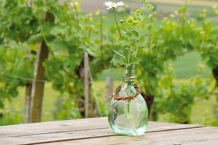 Wein &ndash; (VGN &copy;&nbsp;VGN GmbH)
