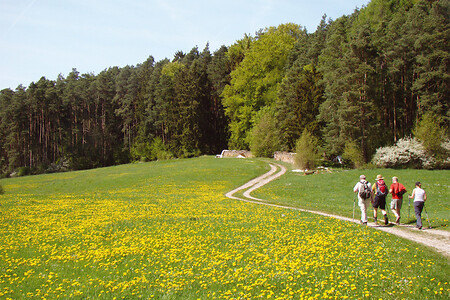 Talgrund "Ziegelleite" &ndash; (VGN &copy;&nbsp;VGN GmbH)