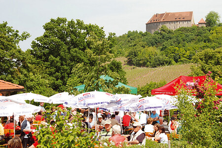 Garten am Weinberghaus vor der Burg Hoheneck &ndash; (VGN &copy;&nbsp;VGN GmbH)