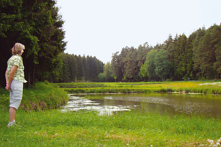 Blick über die Weiher Richtung Aurachquelle &ndash; (VGN &copy;&nbsp;VGN GmbH)