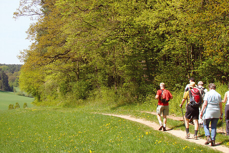 Tal vor Hagenhofen &ndash; (VGN &copy;&nbsp;VGN GmbH)
