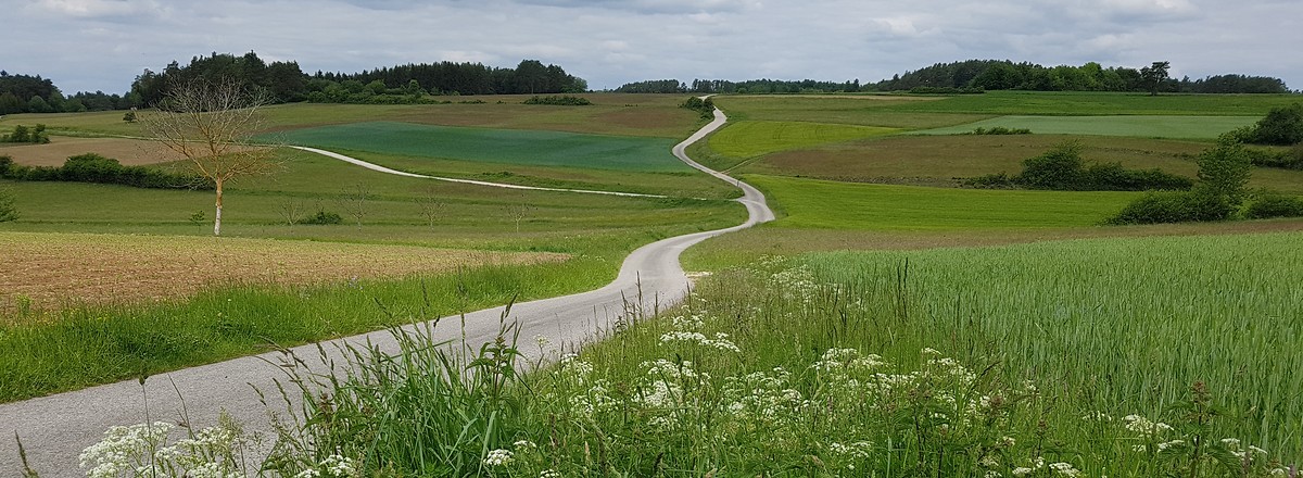 Auf dem Jakobsweg &ndash;  (26.05.2020, S. Dassler &copy;&nbsp;VGN GmbH)