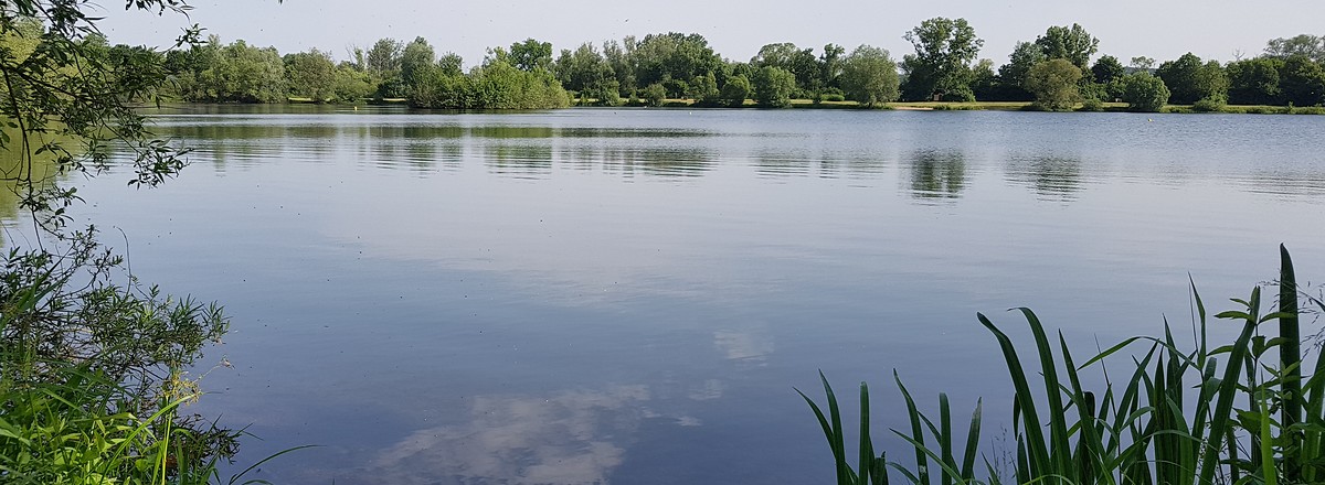 Rudufersee &ndash;  (15.06.2019, S. Dassler &copy;&nbsp;VGN GmbH)