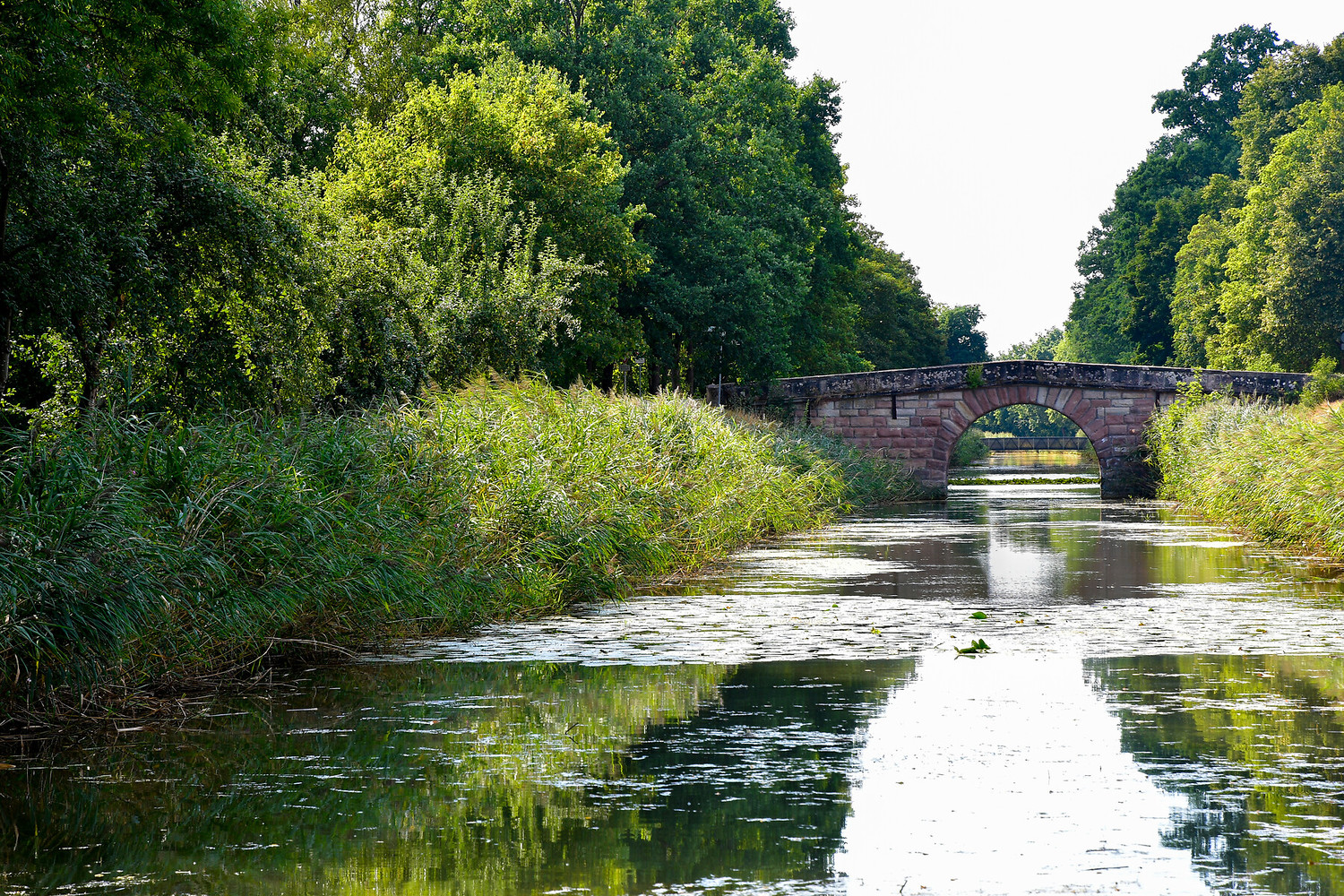 Brückkanal &ndash; Oben Kanal, unten Schwarzach  (10.09.2022, Andrea Herpich &copy;&nbsp;VGN GmbH)