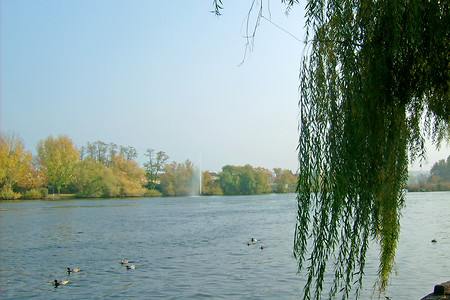 Am Main &ndash; (21.11.2018, VGN &copy;&nbsp;VGN GmbH)