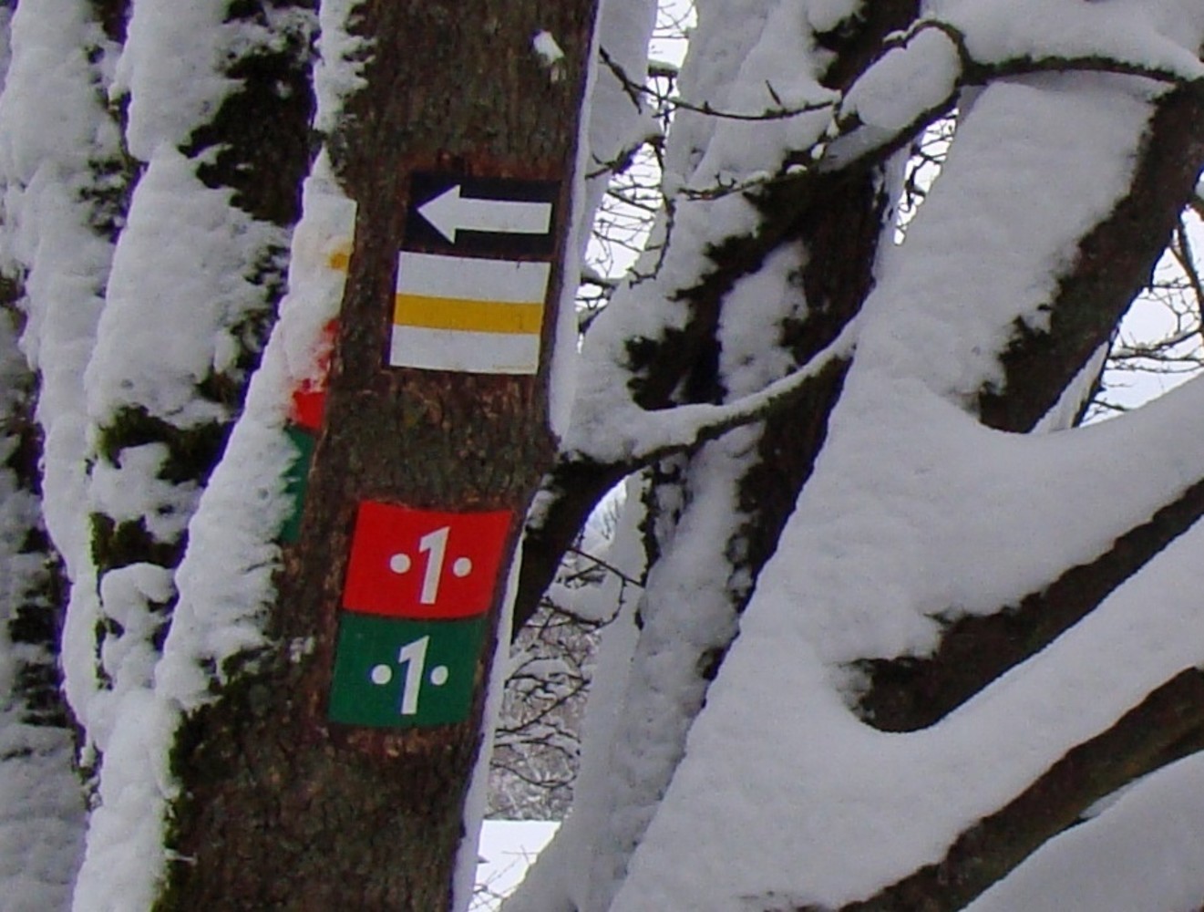 Wegzeichen am Dillberg &ndash;  (VGN &copy;&nbsp;VGN GmbH)