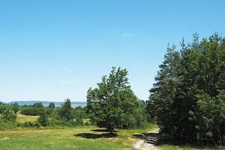 Landschaft &ndash; (14.02.2020, G. Härer &copy;&nbsp;VGN GmbH)
