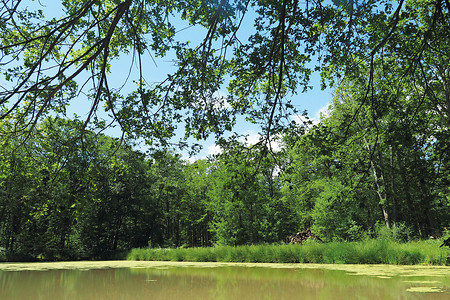 Landschaft &ndash; (14.02.2020, G. Härer &copy;&nbsp;VGN GmbH)