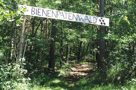 Bienenpatenwald &ndash; (14.02.2020, G. Härer &copy;&nbsp;VGN GmbH)