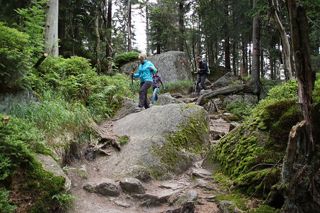 Über Stock und Stein &ndash; (VGN &copy;&nbsp;VGN GmbH)
