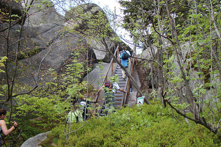 Aufstieg Nußhardt &ndash; (VGN &copy;&nbsp;VGN GmbH)