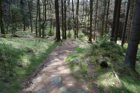 Rückweg Abwärts &ndash; (05.05.2016, VGN &copy;&nbsp;VGN GmbH)