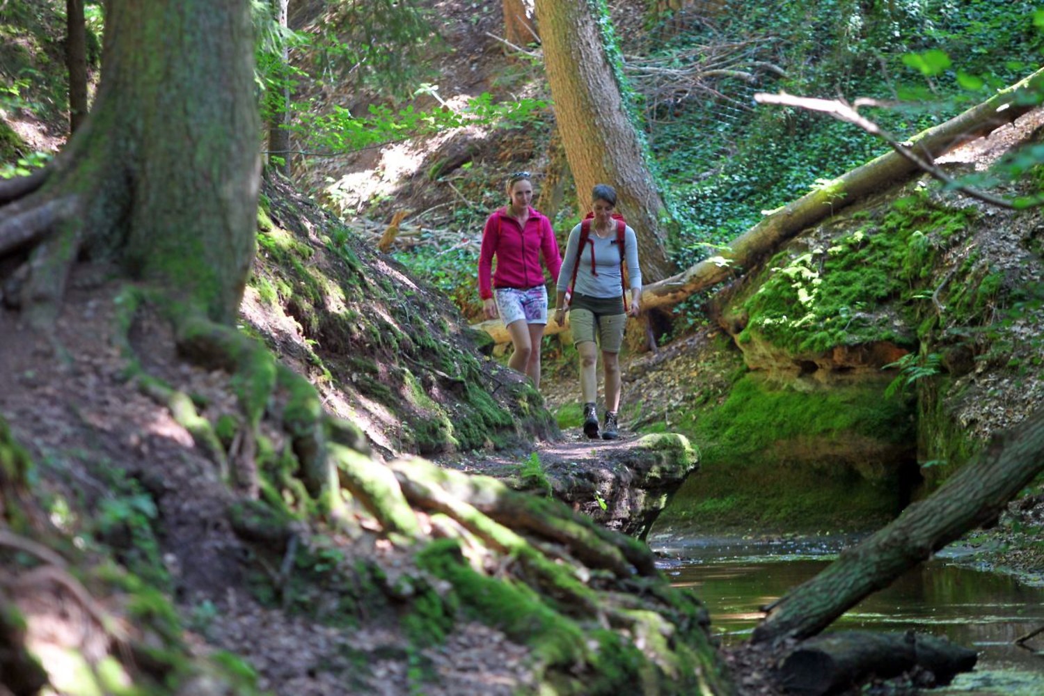  (Frank Boxler &copy;&nbsp;Nürnberger Land Tourismus)