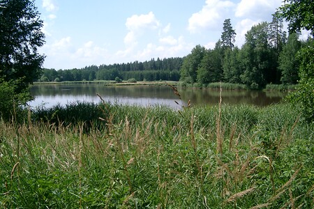 Kammerweiher &ndash; (22.12.2015, Horst Müller Auerbach &copy;&nbsp;Horst Müller Auerbach)