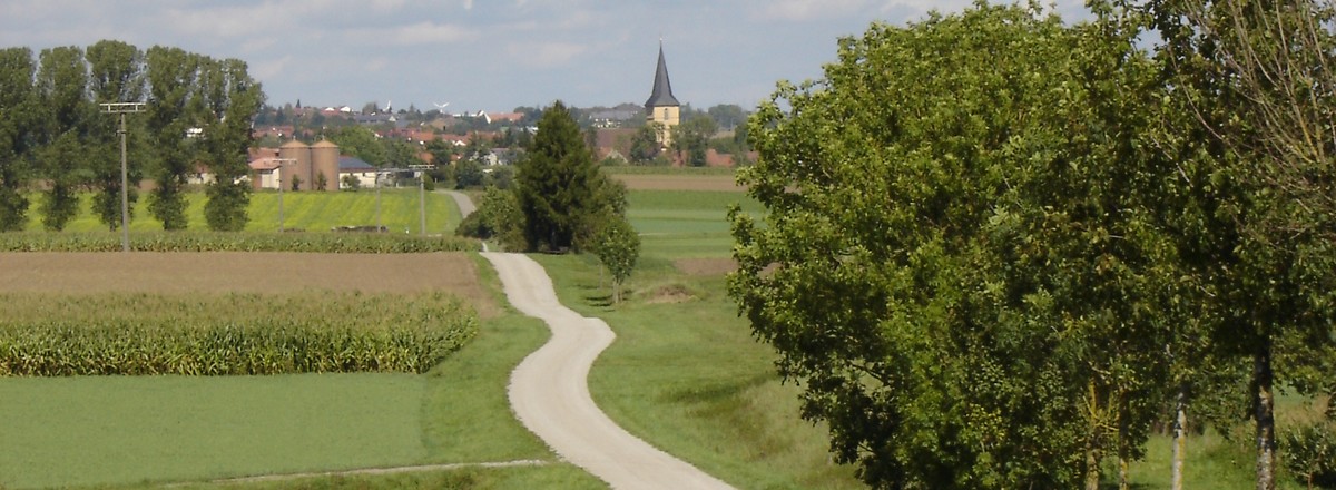 Vor Gebsattel &ndash;  (20.02.2019, R. Rück &copy;&nbsp;schreibwerk)