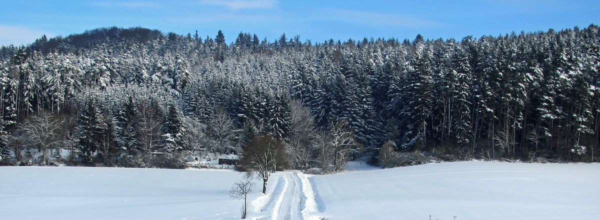 Blick zum Schlossberg (Heinzburg) &ndash;  (VGN &copy;&nbsp;VGN GmbH)