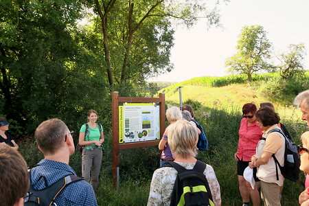 Erklärungstafel &ndash; (11.08.2019, U. Buescher &copy;&nbsp;VGN GmbH)