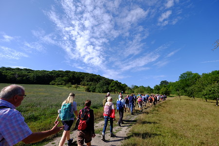 Gruppenwanderung &ndash; (11.08.2019, Michael Kronau &copy;&nbsp;Michael Kronau)