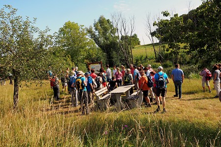 Große Rast &ndash; (11.08.2019, U. Buescher &copy;&nbsp;VGN GmbH)