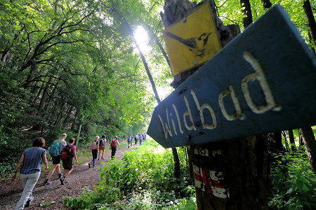 Wildbad &ndash; (11.08.2019, Michael Kronau &copy;&nbsp;Michael Kronau)